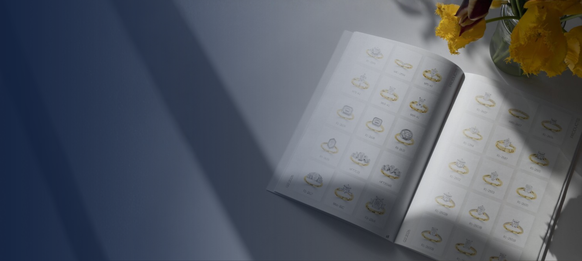 Brochures